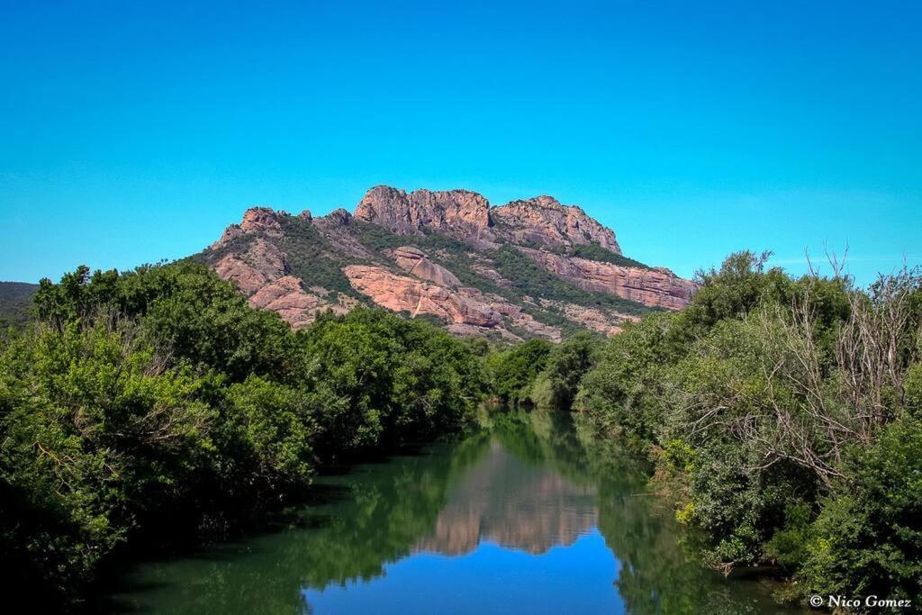 Roquebrune-Sur-Argens, Villa 2 Pieces, 4 Personnes Dış mekan fotoğraf