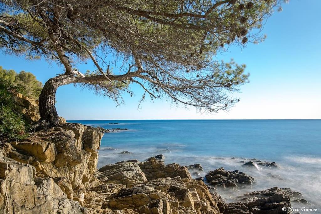 Roquebrune-Sur-Argens, Villa 2 Pieces, 4 Personnes Dış mekan fotoğraf