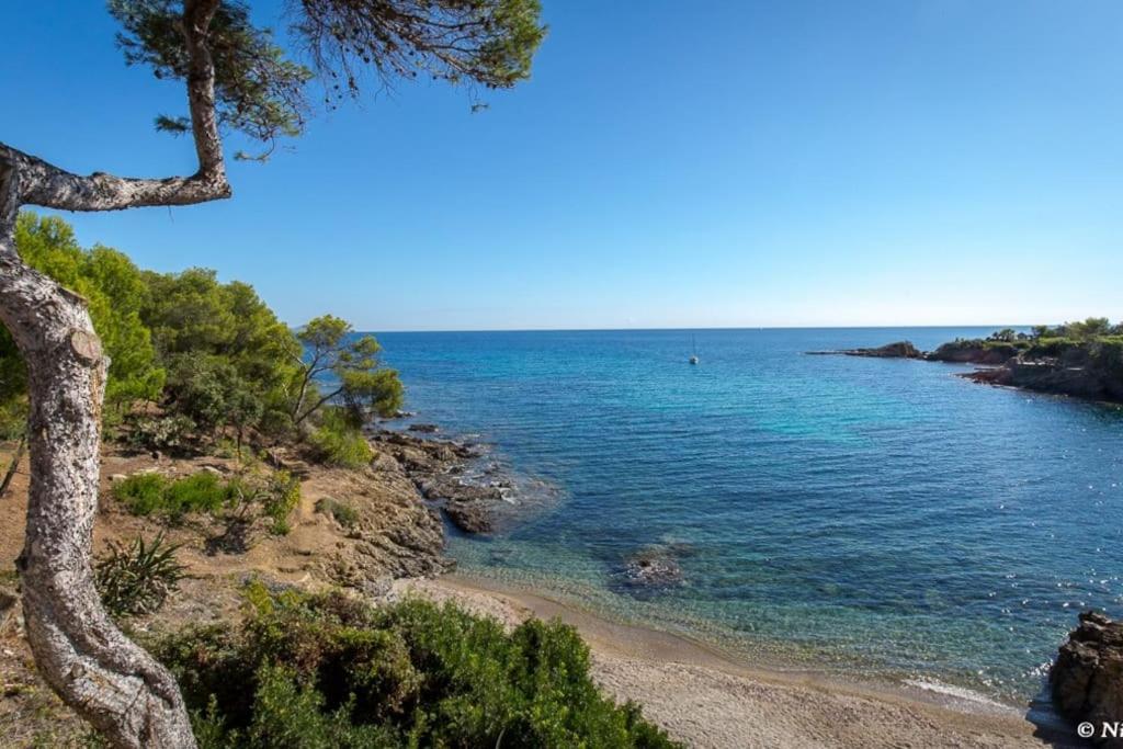 Roquebrune-Sur-Argens, Villa 2 Pieces, 4 Personnes Dış mekan fotoğraf